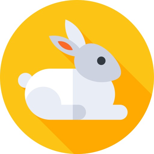 The Bunno Studio rabbit
